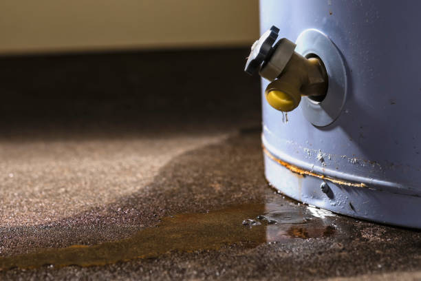 Best Basement water damage restoration  in North Star, DE