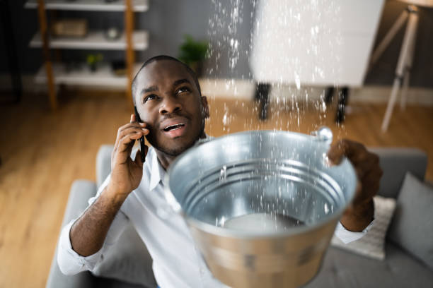 Best Flooded house restoration  in North Star, DE