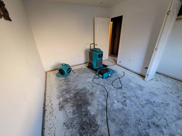 Best Professional water damage repair  in North Star, DE