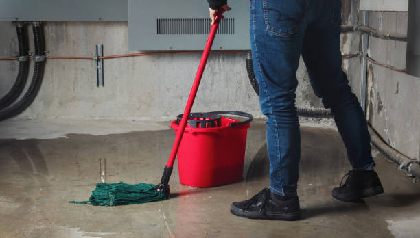 Best Water damage restoration insurance claims  in North Star, DE