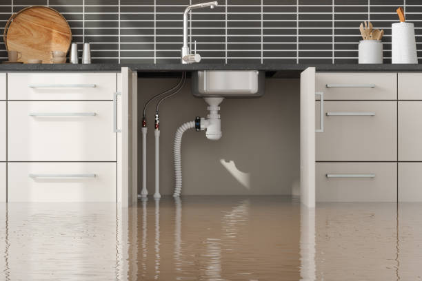 Best Residential water damage restoration  in North Star, DE