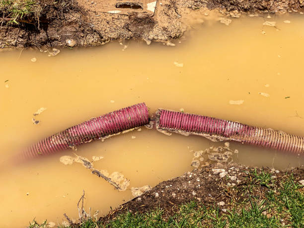 Trusted North Star, DE Water damage restoration Experts