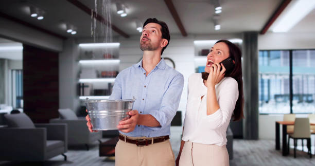 Best Flood restoration services  in North Star, DE