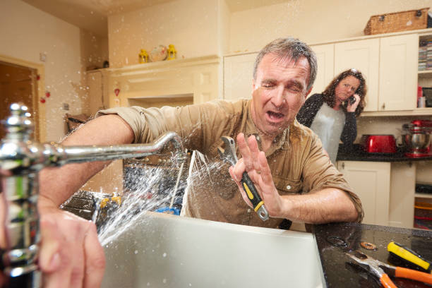 Best Water damage contractors near me  in North Star, DE